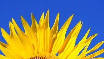 Energie update Gele Zon levenspad 8-20 mei 2020: Laat je licht stralen!